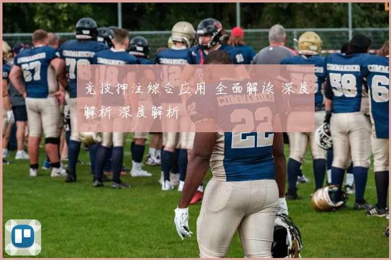 竞技押注综合应用 全面解读 深度解析 深度解析