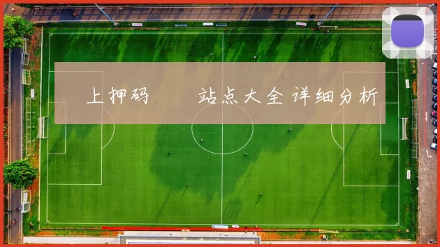 網上押码娛樂站点大全 详细分析