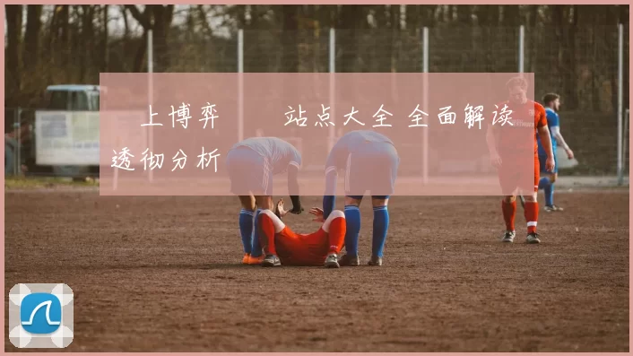 網上博弈娛樂站点大全 全面解读 透彻分析