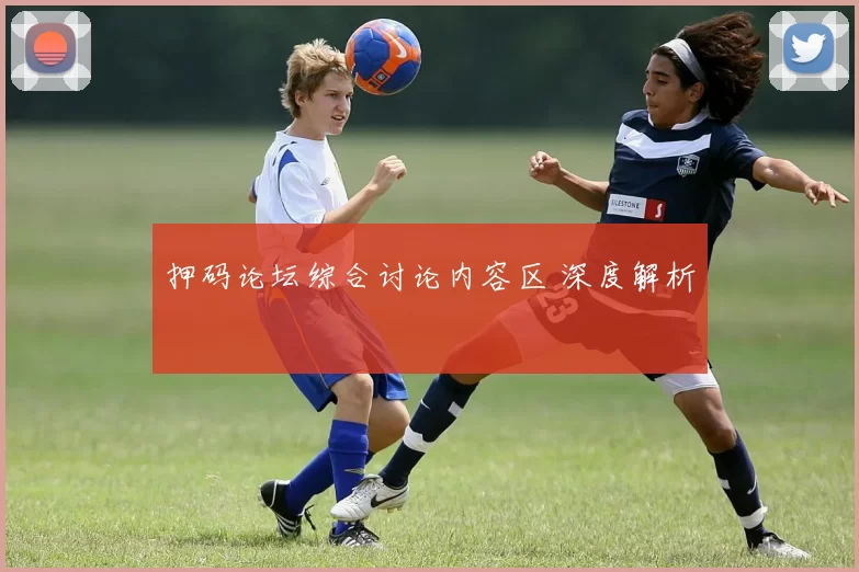 押码论坛综合讨论内容区 深度解析