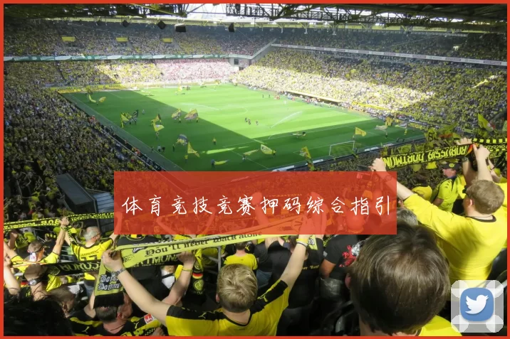 体育竞技竞赛押码综合指引