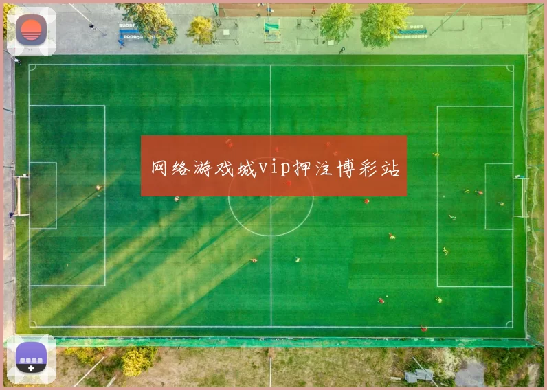 网络游戏城vip押注博彩站