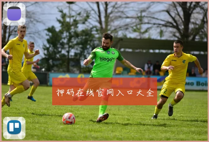 押码在线官网入口大全