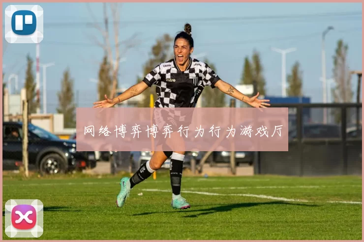 网络博弈博弈行为行为游戏厅