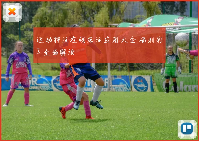 运动押注在线落注应用大全 福利彩3 全面解读