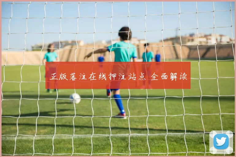 正版落注在线押注站点 全面解读