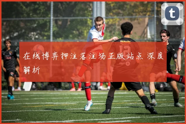 在线博弈押注落注场正版站点 深度解析