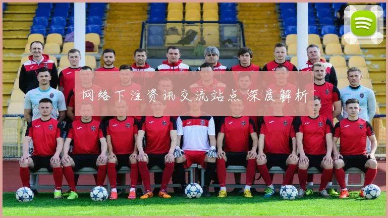 网络下注资讯交流站点 深度解析