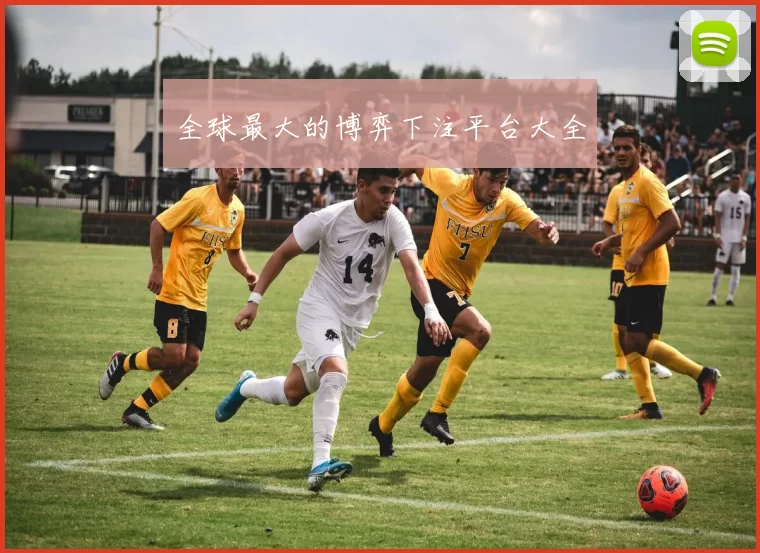 全球最大的博弈下注平台大全