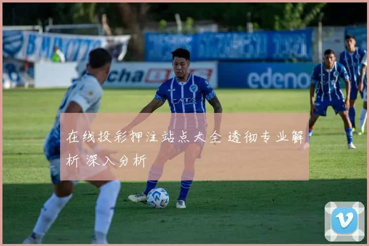 在线投彩押注站点大全 透彻专业解析 深入分析