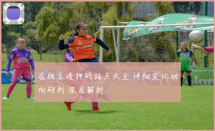 在线乐透押码站点大全 详细变化动向研判 深度解析