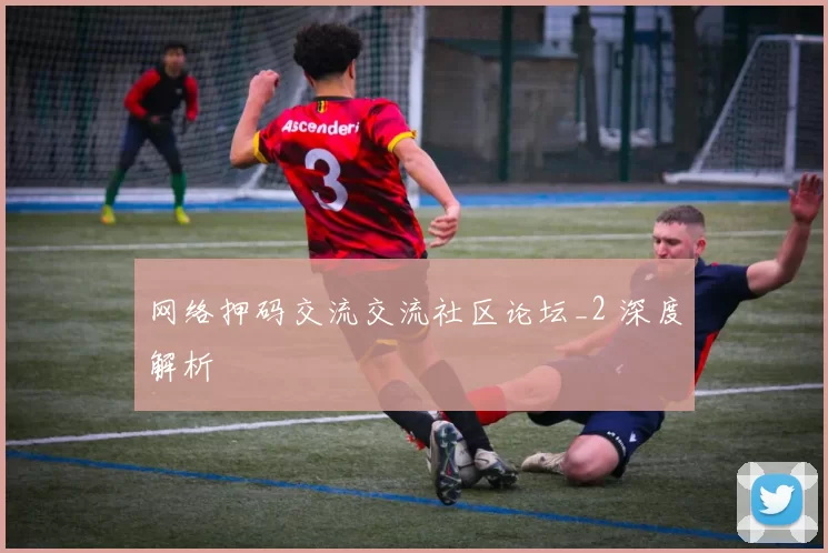 网络押码交流交流社区论坛_2 深度解析