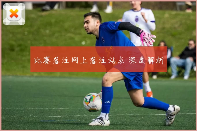 比赛落注网上落注站点 深度解析