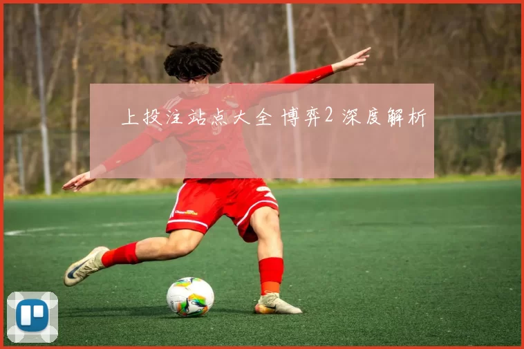 網上投注站点大全 博弈2 深度解析