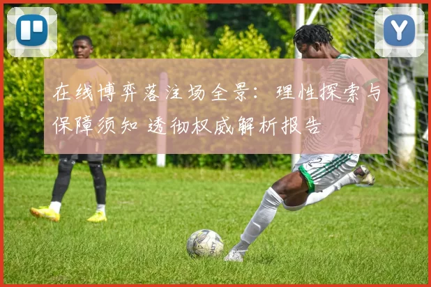在线博弈落注场全景：理性探索与保障须知 透彻权威解析报告