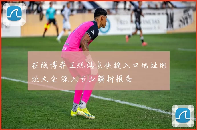 在线博弈正规站点快捷入口地址地址大全 深入专业解析报告
