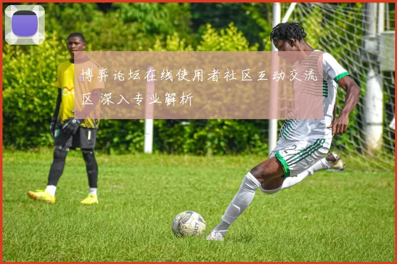 博弈论坛在线使用者社区互动交流区 深入专业解析