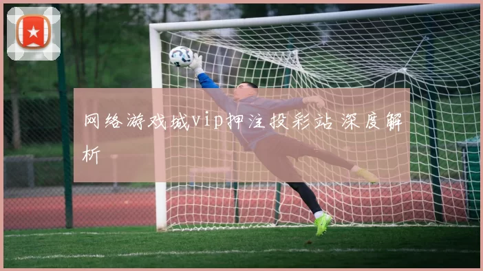 网络游戏城vip押注投彩站 深度解析