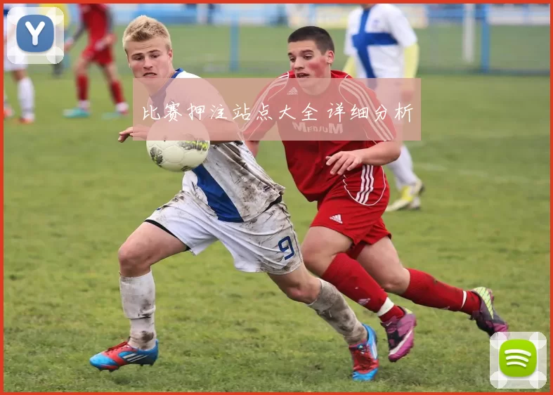 比赛押注站点大全 详细分析