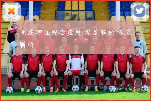 竞技押注综合应用 深度解析 深度解析