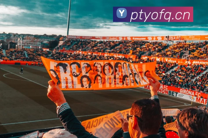 菠菜网站品牌故事