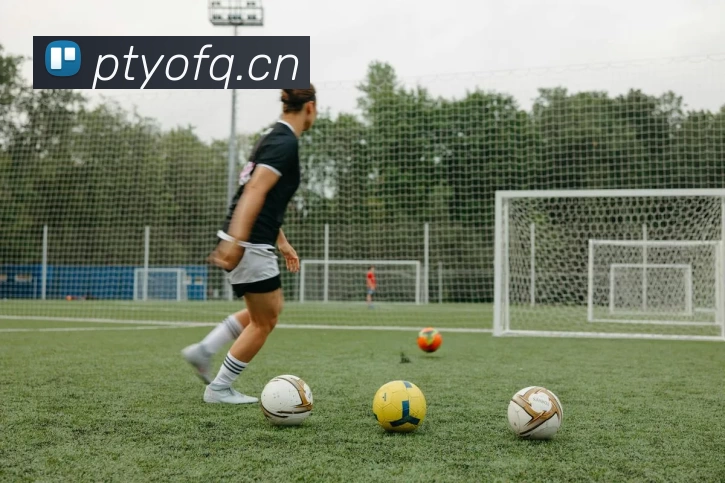 菠菜网站服务体系