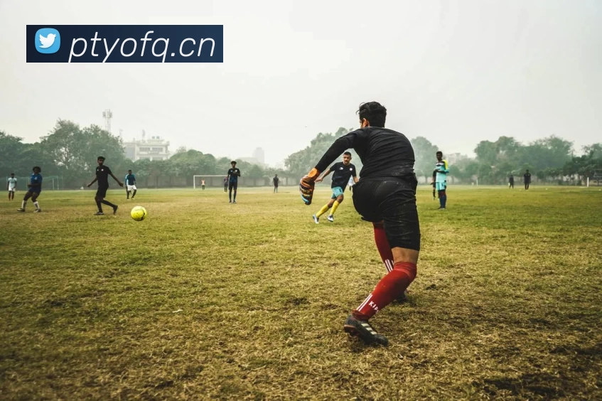 菠菜网站APP 体育赛事宣传图